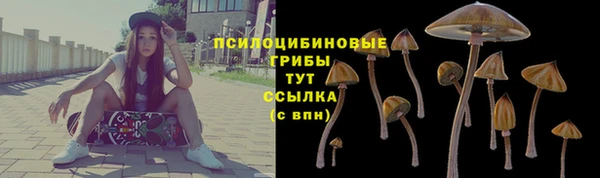 каннабис Баксан