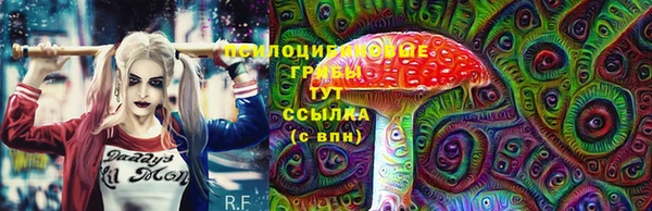 a pvp Горно-Алтайск