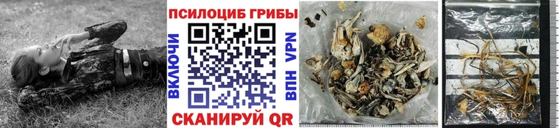 Галлюциногенные грибы мицелий  купить  цена  Шелехов 